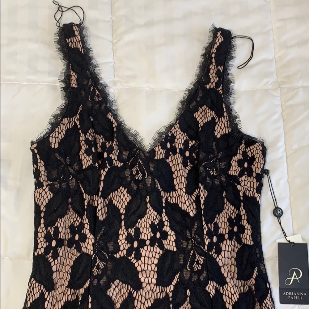 Lace black and blush colored dress